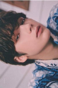 STILL DREAMING wvs 明信片 