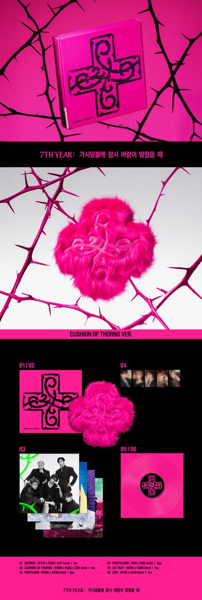 CUSHION OF THORNS Ver. 要二補