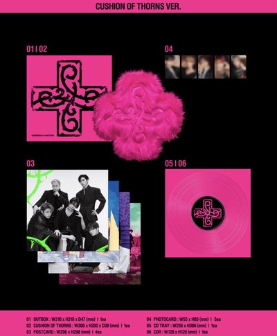 預購 TXT 迷八 CUSHION OF THORNS Ver. 十字絨毛軟墊專輯 全新未拆