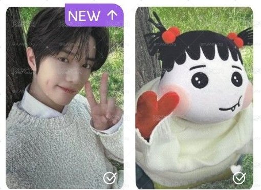 TXT 崔杋圭 姜太顯 25'巡 台北大巨蛋MOA粽 角巴