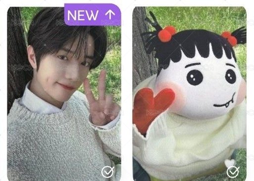 圭＆圭角巴