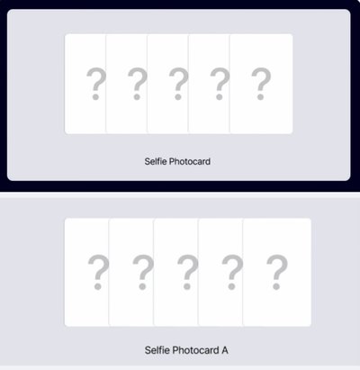 正規二 wvs預售特典卡+視簽卡=2張自拍卡（可選成員）
