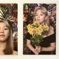 愛情要從一束花開始