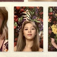 爸爸拍照be like: