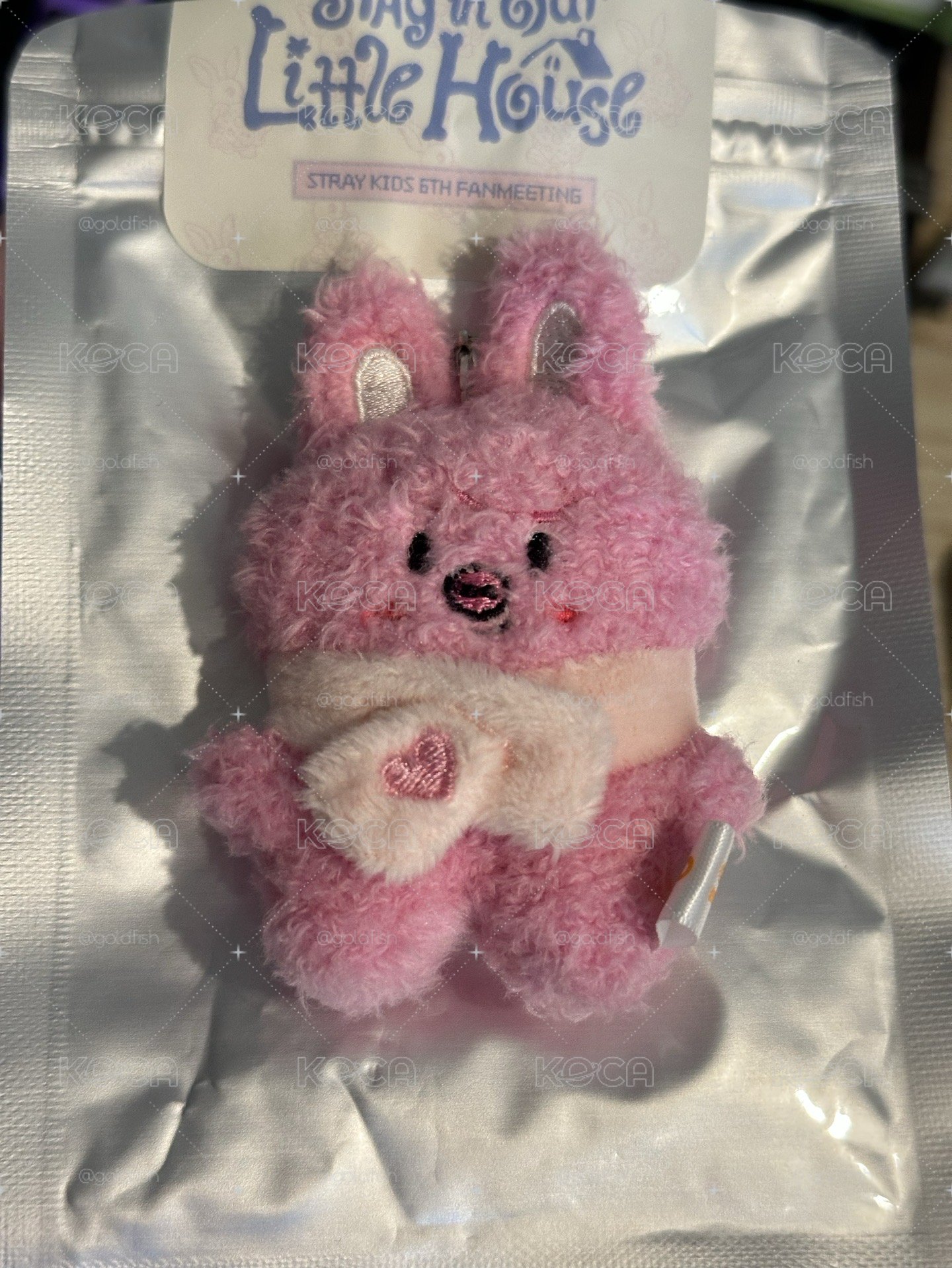 Stray kids Changbin micro潦草娃
