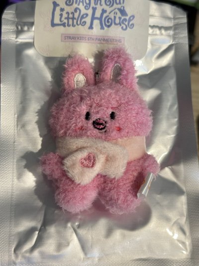 Stray kids Changbin micro潦草娃