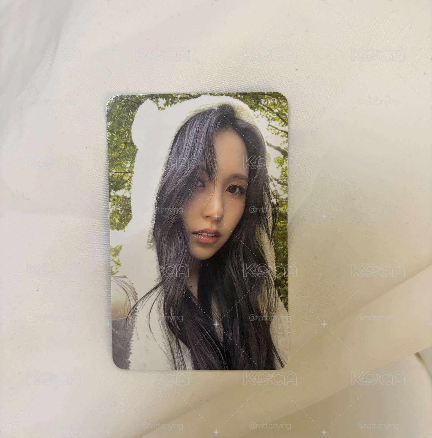 免綁每標1元✨ 白熊南🐼 