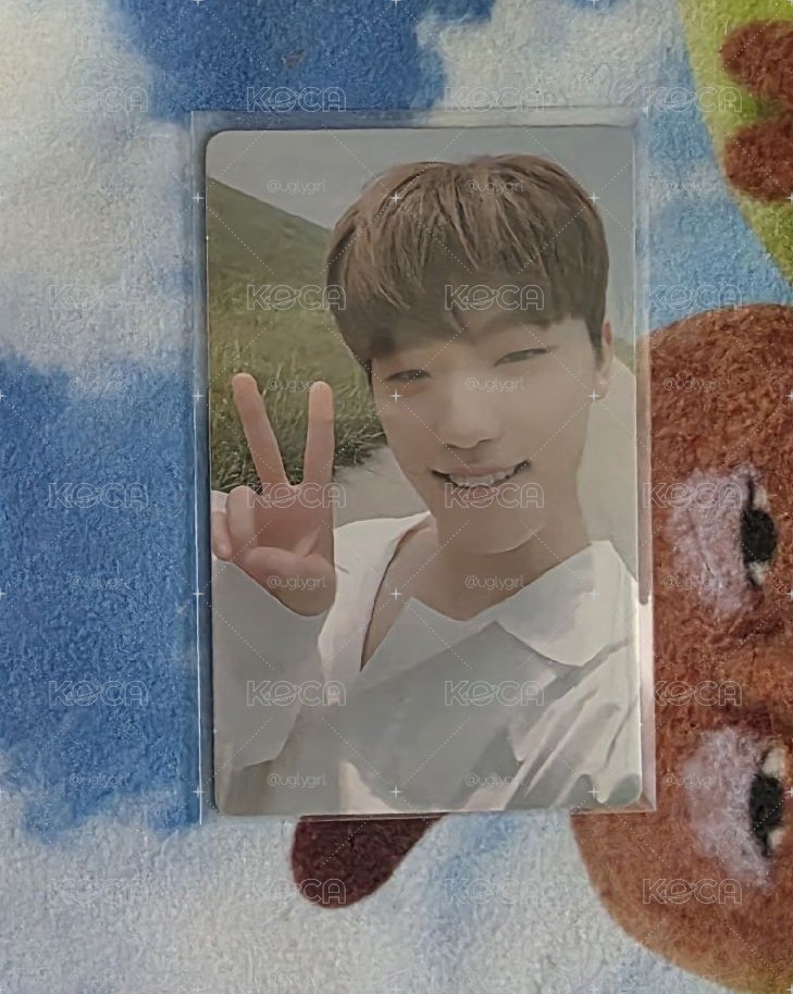 MINI5 專輯卡 FOLLOW ver. _ DINO