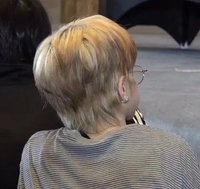 狐狸君