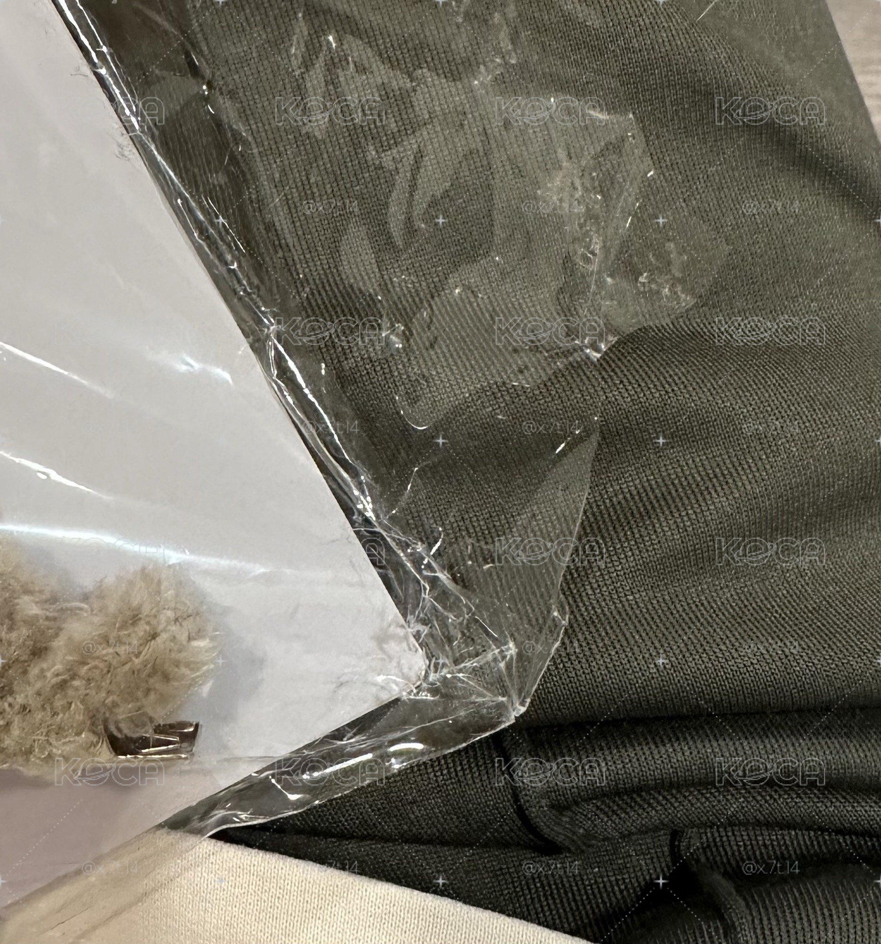 燦狼耳朵髮夾
