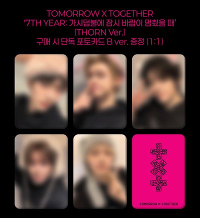 TXT迷8kkt/cu單特/showcase