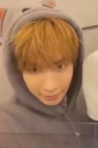 迷八 電子專 專輯卡 