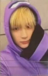 迷八 電子專 專輯卡 