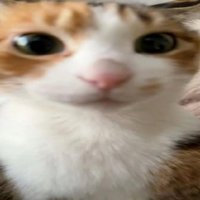 민민