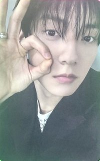 迷八 wvs pb版 直播卡 