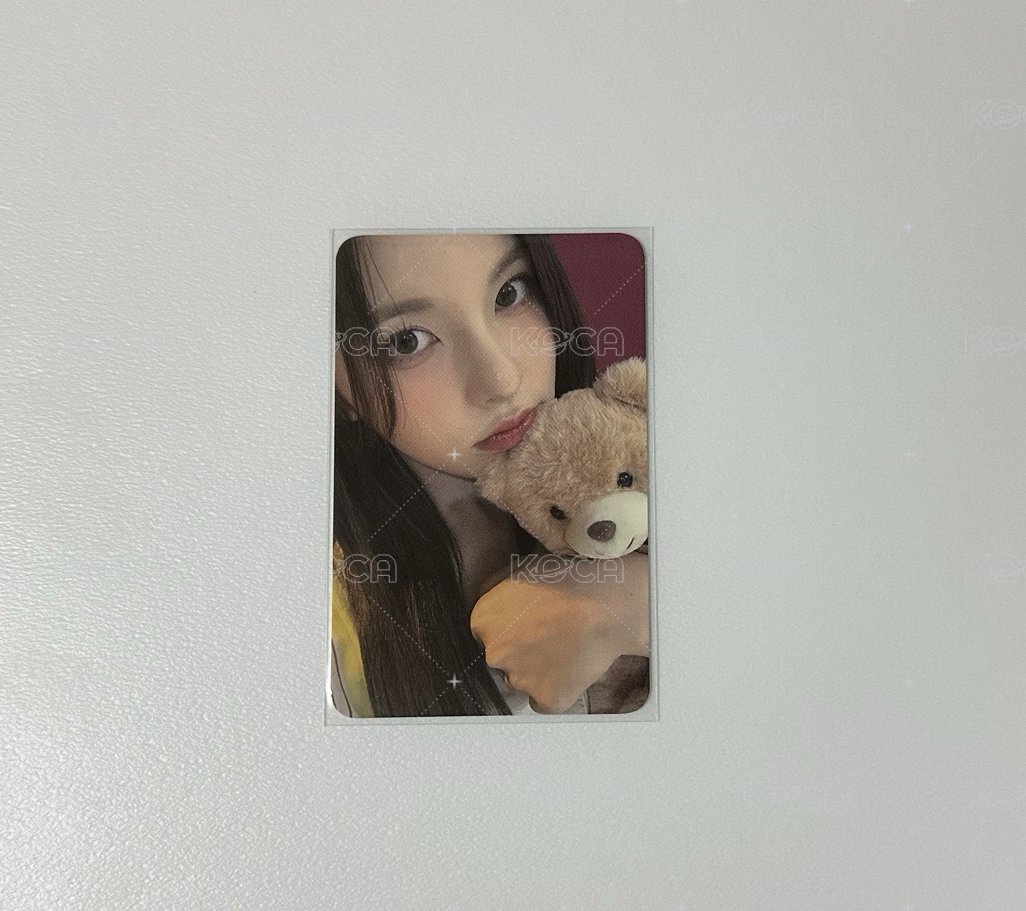 🌟k4抱熊