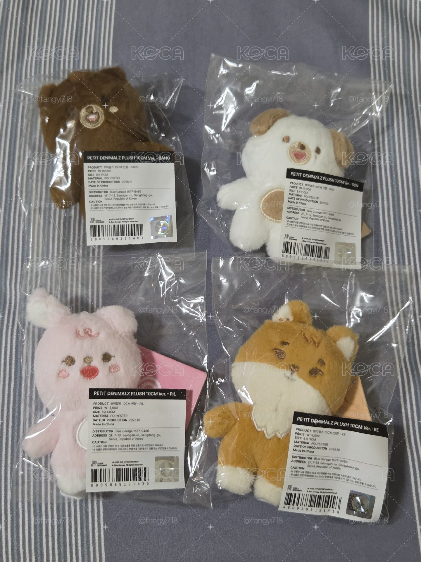 10cm們