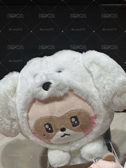 昊動物坐娃