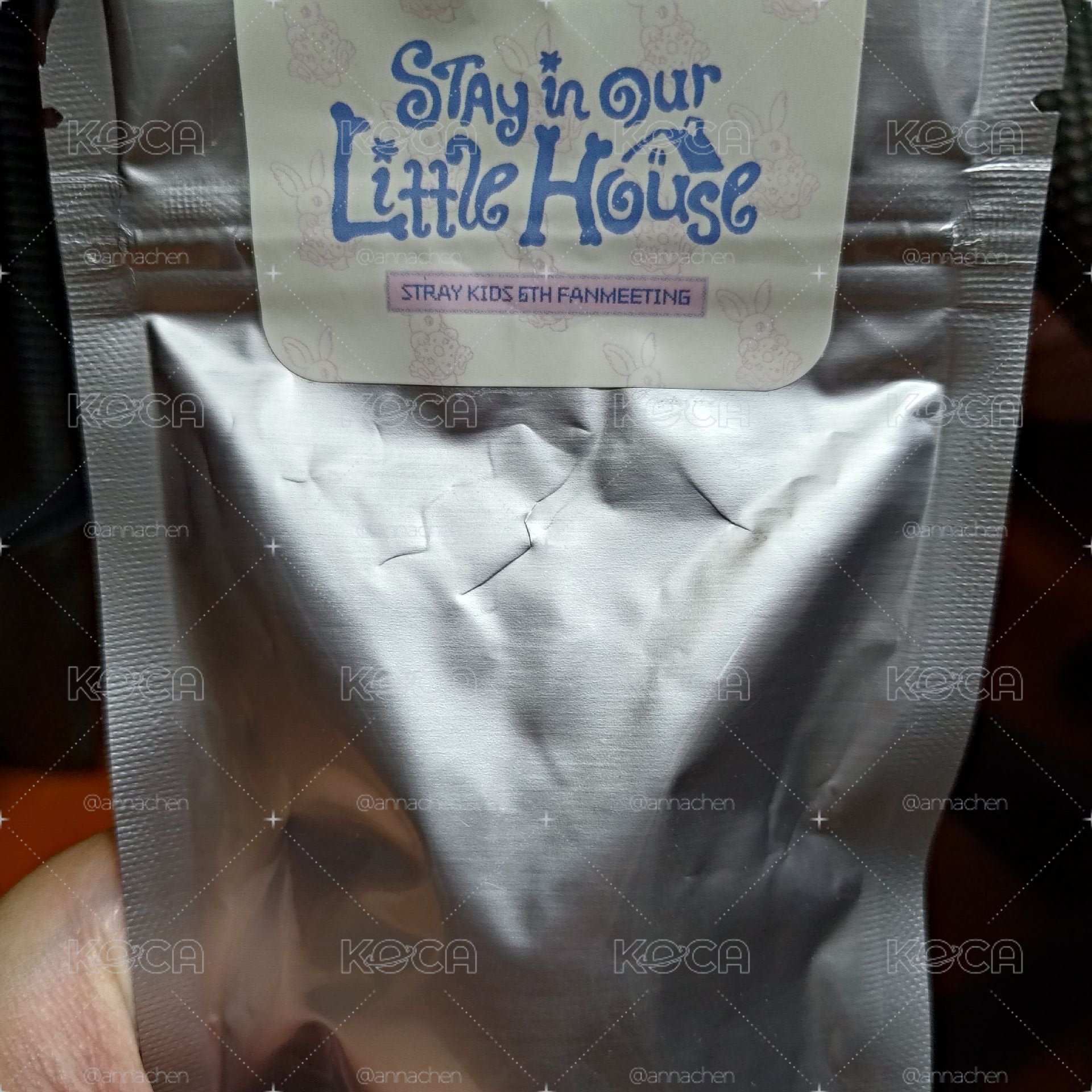 6th原皮李畢潦草娃