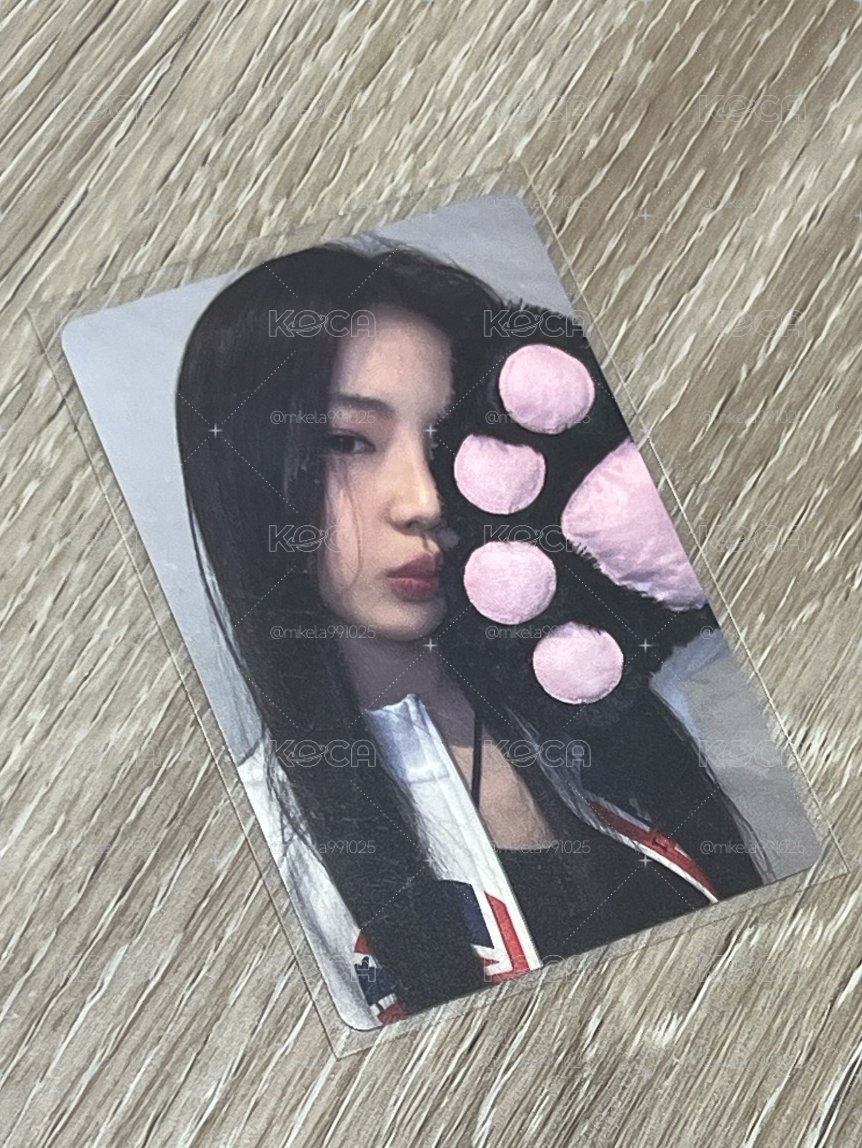 貓爪