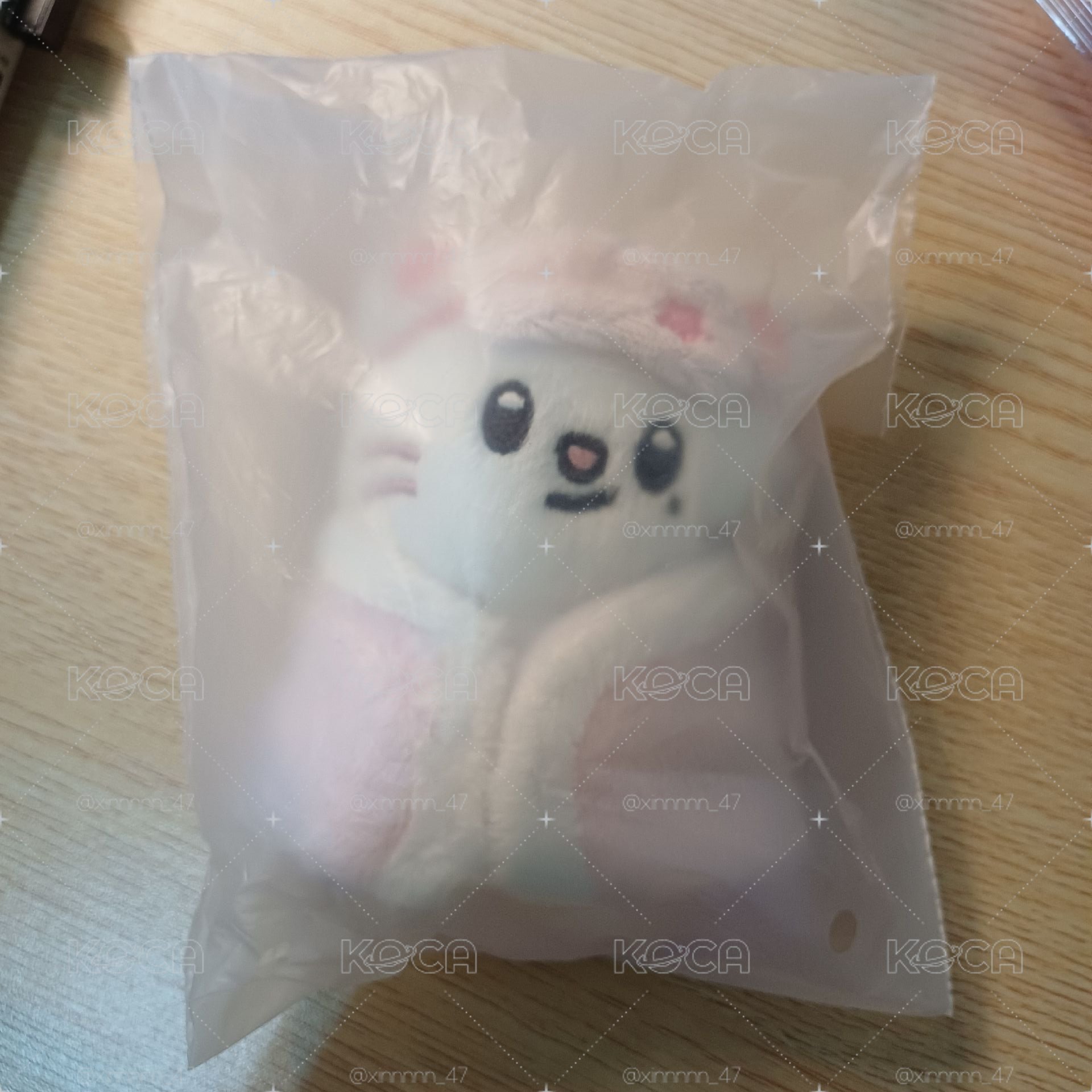 六期飯咪辰娃