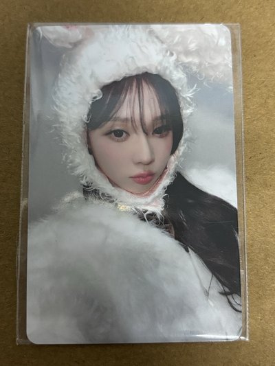 aespa Winter 冬天 周邊卡 26生日蛋糕吊飾冬 set 冬-73