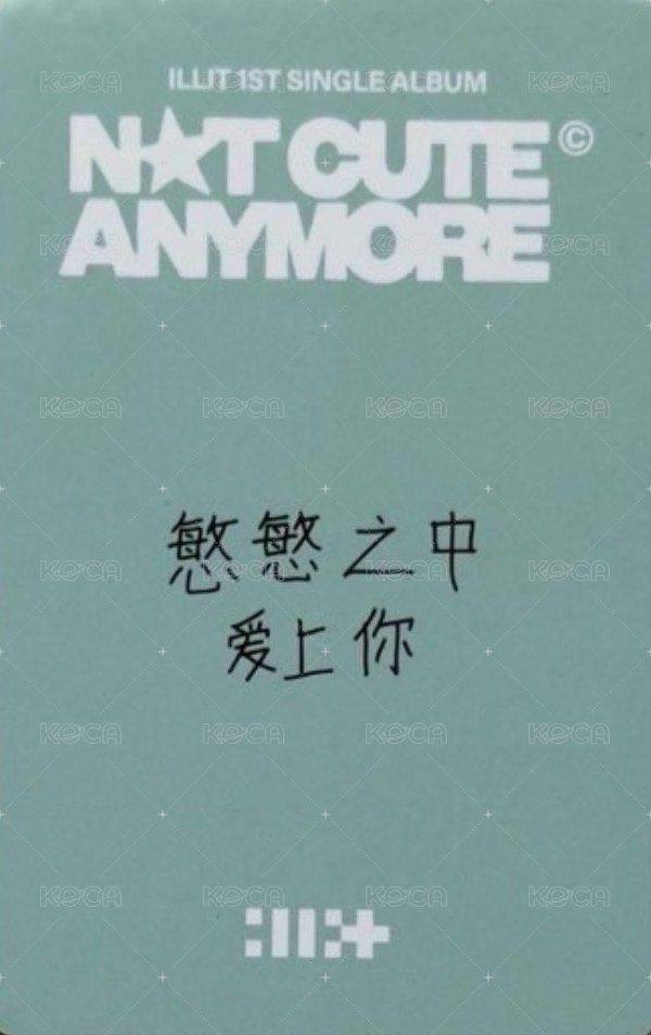 NOT CUTE ANYMORE yzy 線上5.0 簽售卡  背面