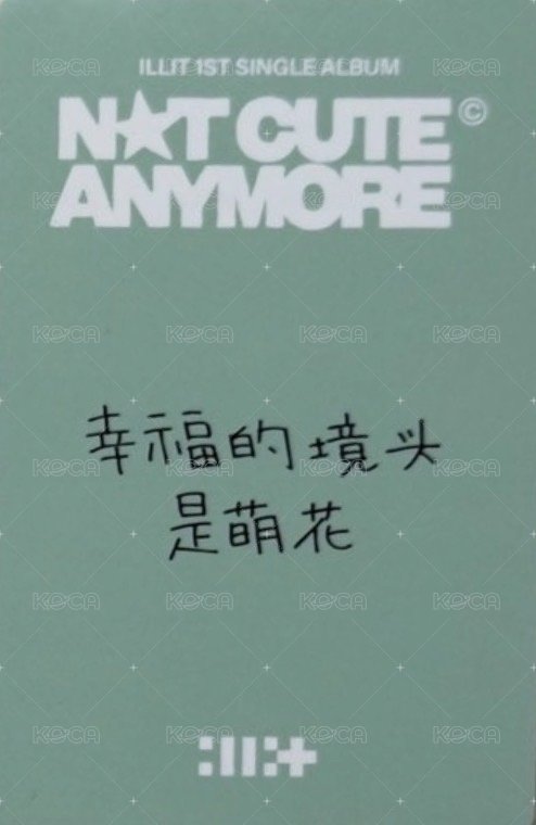 NOT CUTE ANYMORE yzy 線上5.0 簽售卡  背面