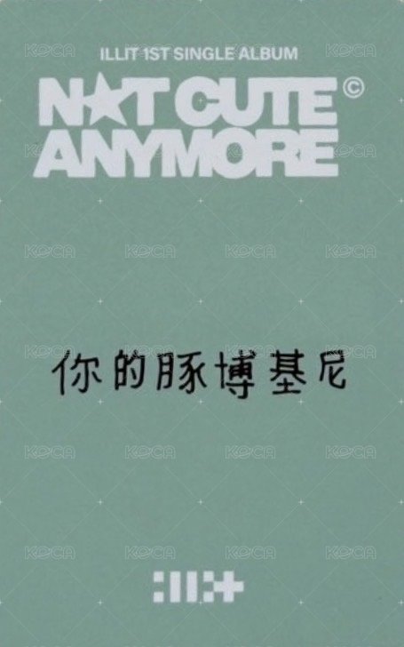 NOT CUTE ANYMORE yzy 線上5.0 簽售卡  背面