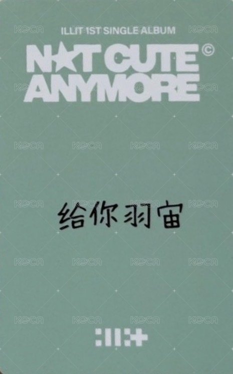 NOT CUTE ANYMORE yzy 線上5.0 簽售卡  背面