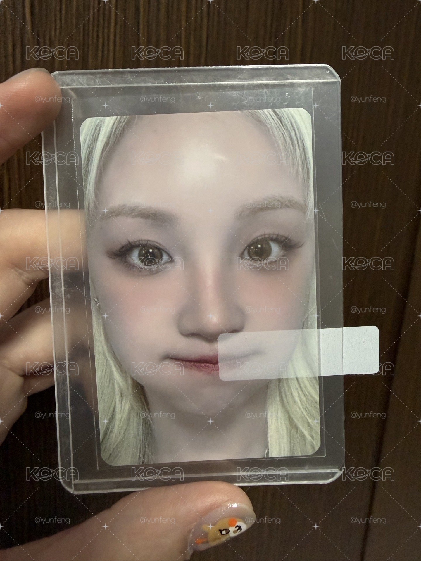 大臉琦