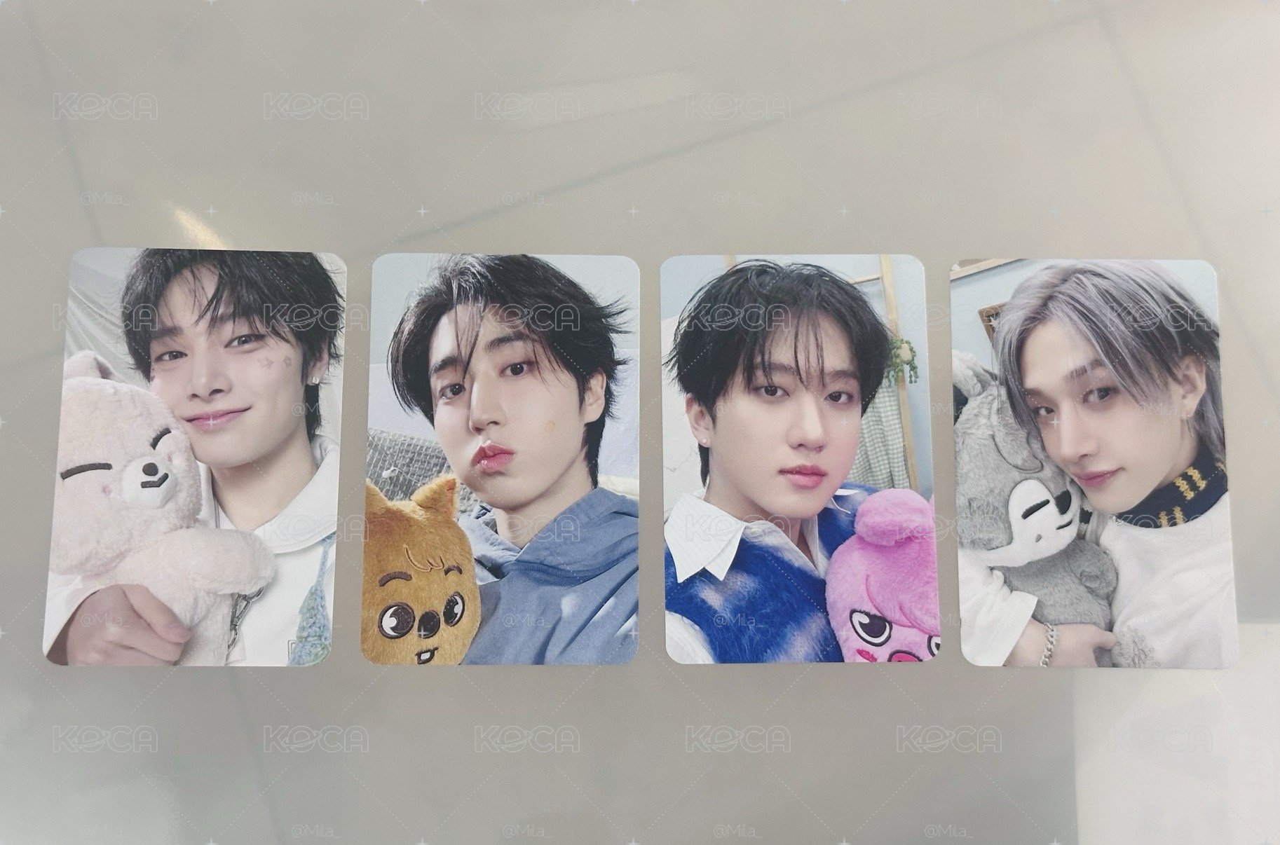 Skz 6th fm 4/4 入場卡