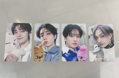 Skz 6th fm 4/4 入場卡
