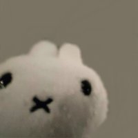 xin 