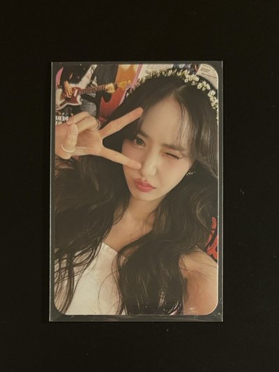🦋VIVIZ 二期會員 會員禮 小卡 SinB 信飛 黃恩妃