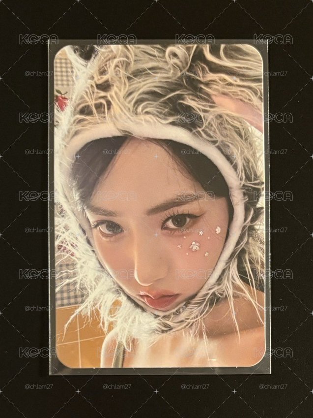 🦋VIVIZ 二期會員 會員禮 小卡 SinB 信飛 黃恩妃