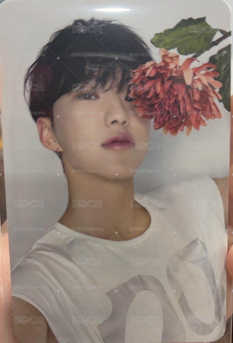 精選專 專輯卡 CARAT ver.