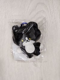 A雲貓