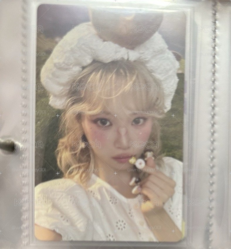 CRAZY wvs 特典卡 預購特典 PB ver.
