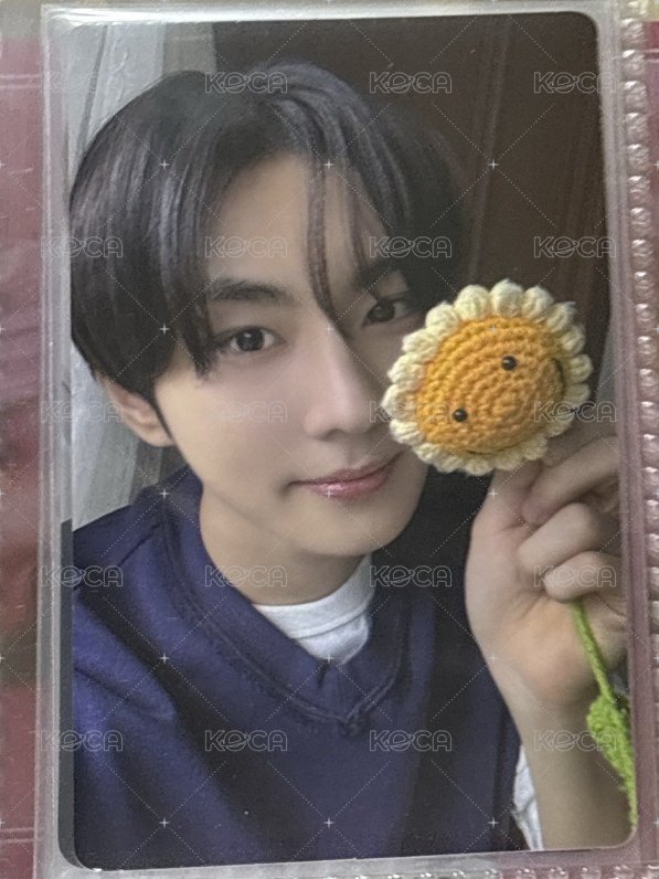 向日葵元🌻