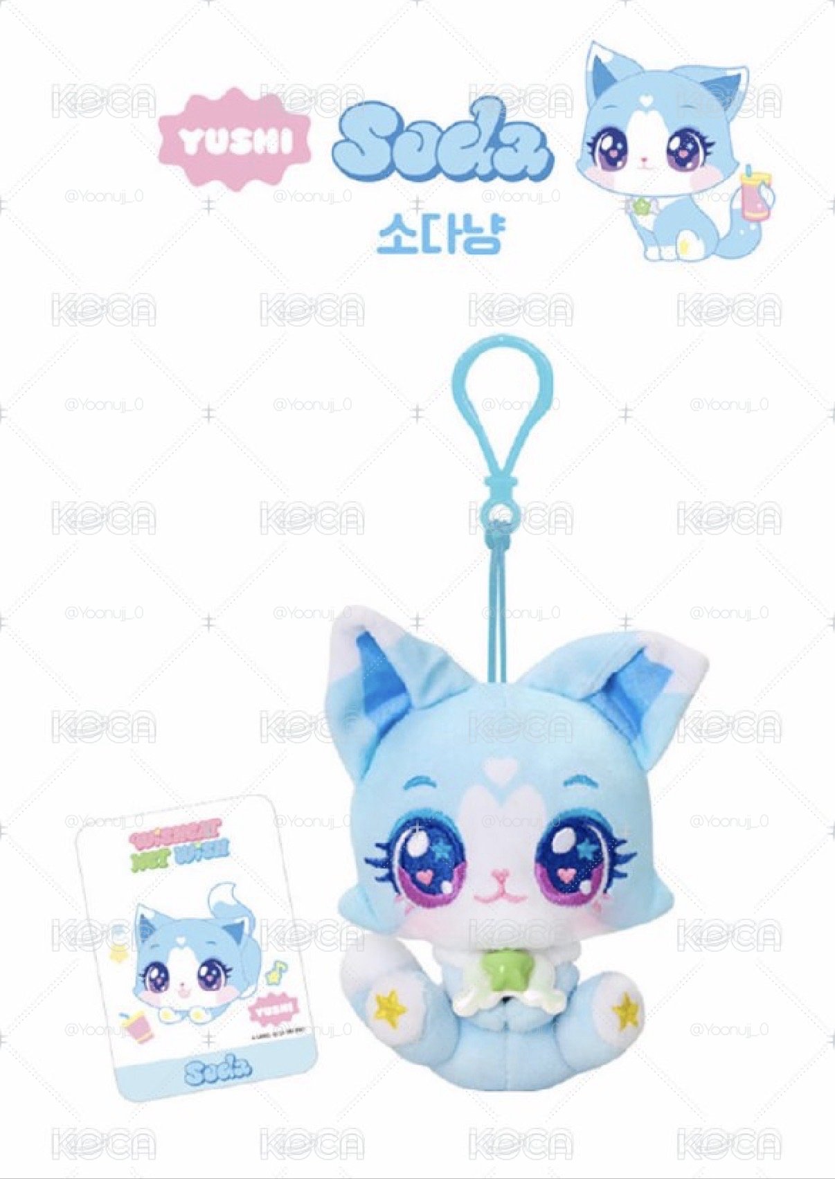 wishcat