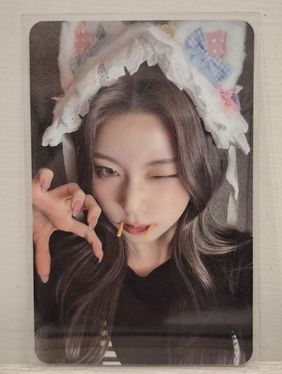 ✴️中背 吸血鬼貓圭 