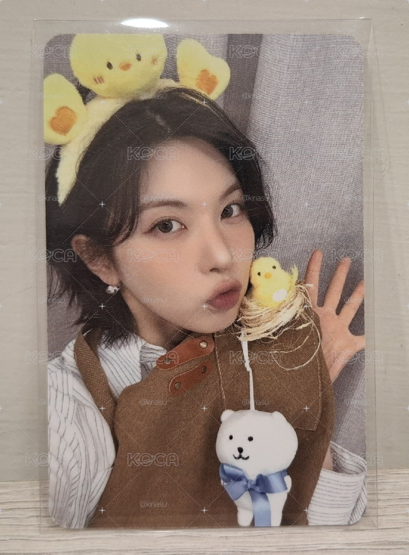✴️動物塑裴