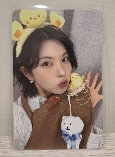 ✴️動物塑裴