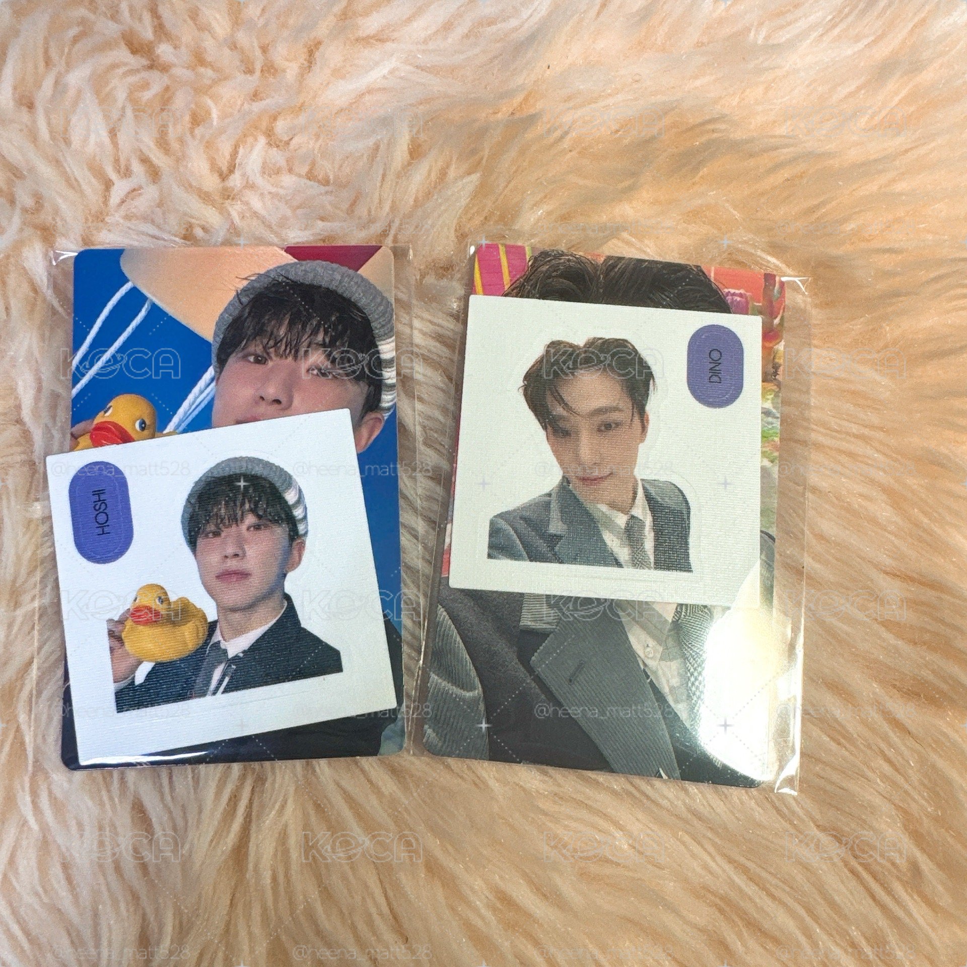 Weverse 特典卡Hoshi+Dino