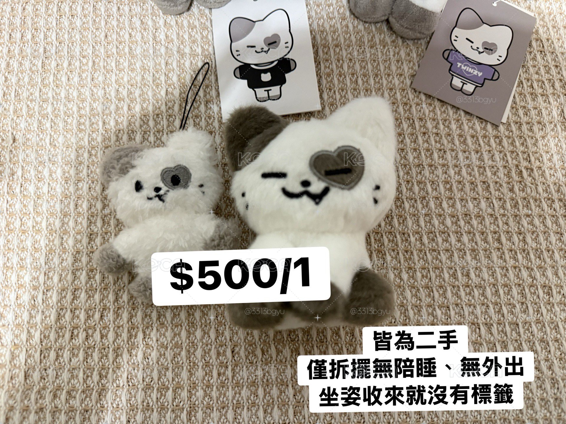 禮志娃