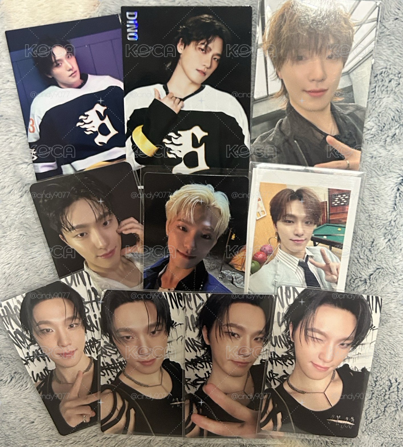 seventeen dino new wvs 場限 整圖售