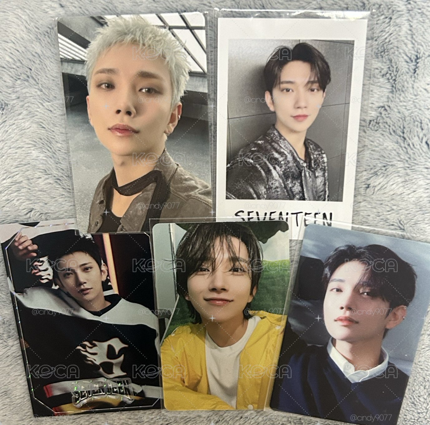 seventeen new 場限 整圖售