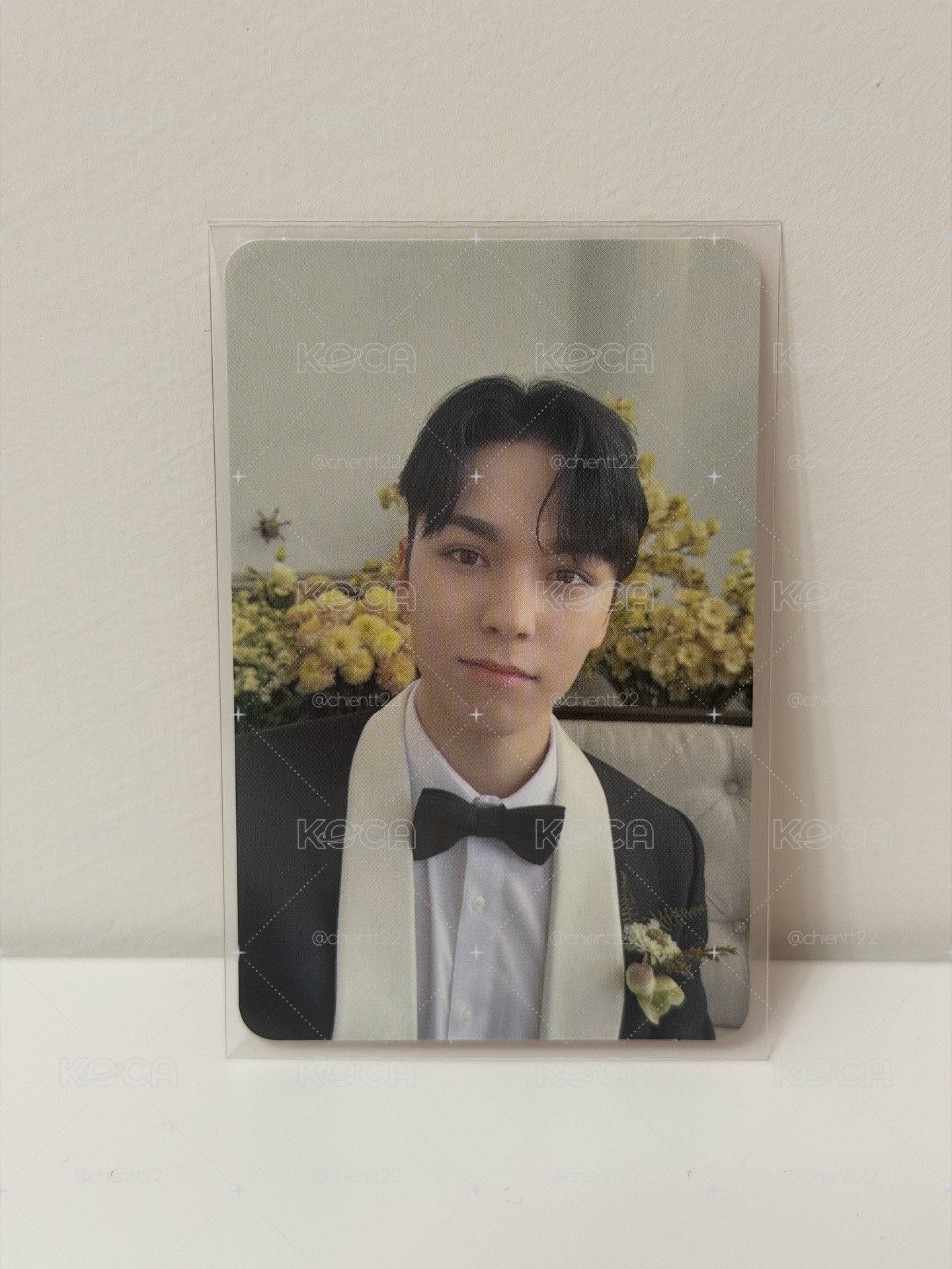 SVT 崔瀚率 Vernon mini10 克拉盤小卡