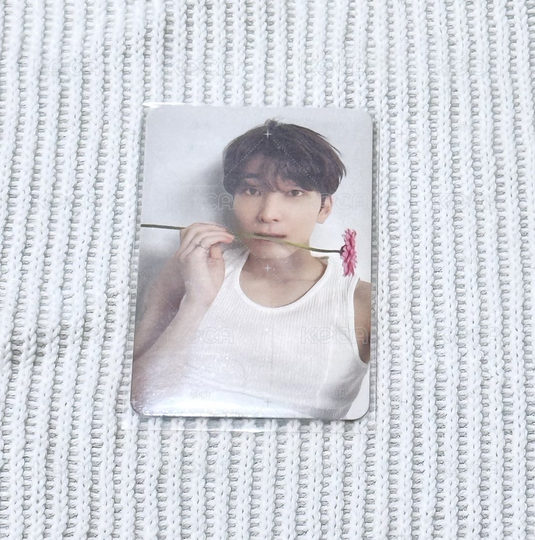 SEVENTEEN Wonwoo 全圓佑 photocards